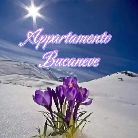 Apartment Bucaneve Padola